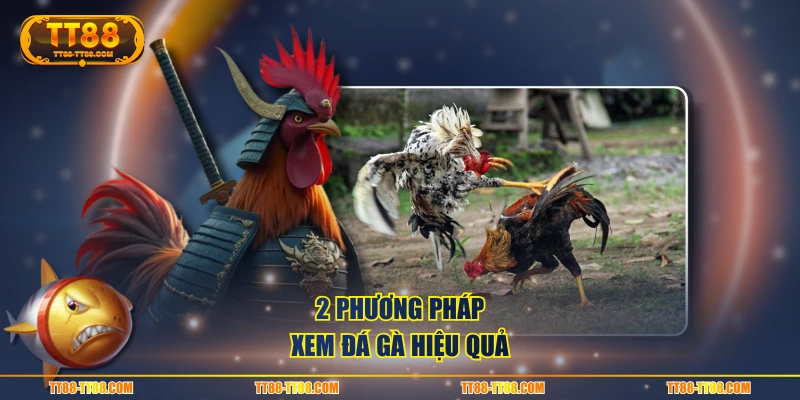 2 phương pháp xem đá gà hiệu quả