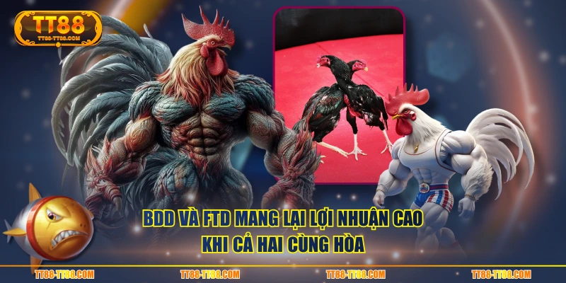 BDD và FTD mang lại lợi nhuận cao khi cả hai cùng hòa