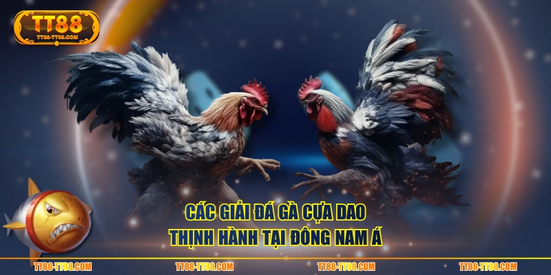 Các giải đá gà cựa dao thịnh hành tại Đông Nam Á