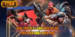 Giải Thích 3+ Loại Kèo Đá Gà Phổ Biến Nhất Hiện Nay