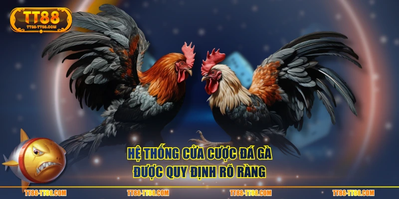 Hệ thống cửa cược đá gà được quy định rõ ràng