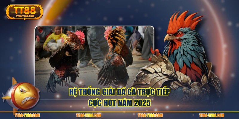 Hệ thống giải đá gà trực tiếp cực hot năm 2025