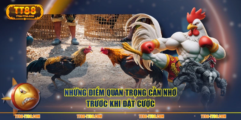 Những điểm quan trọng cần nhớ trước khi đặt cược