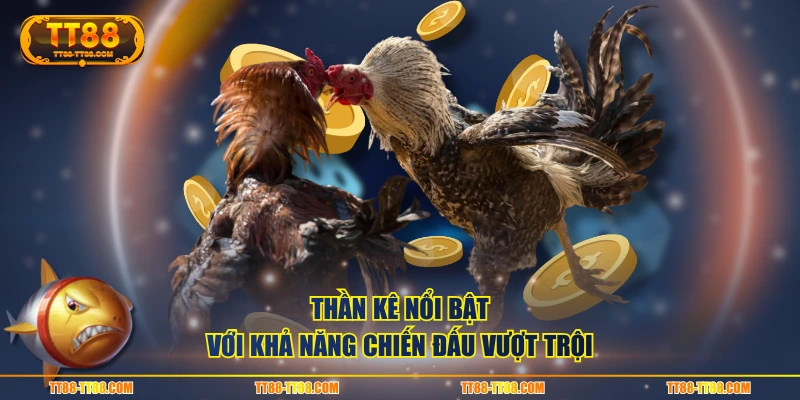 Thần Kê nổi bật với khả năng chiến đấu vượt trội