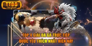 Top 4 Giải Đá Gà Trực Tiếp Được Yêu Thích Nhất Hiện Nay